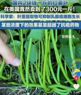爱游戏tv-排球赔率刷新纪录，竞猜热度飙升的简单介绍