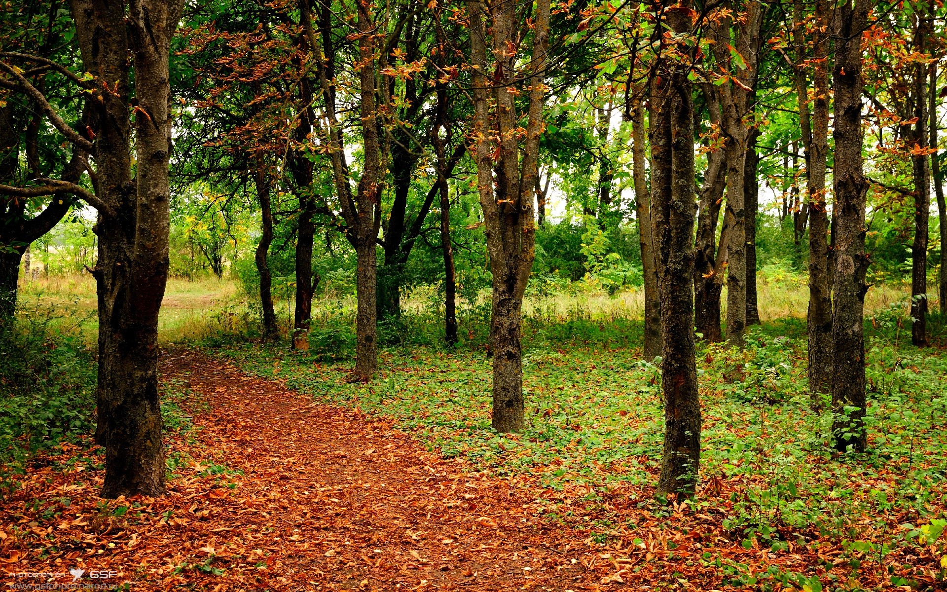 绝地反击，雷诺引擎的怒吼与勒克莱尔的孤胆英豪