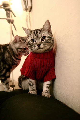 勇士浓眉杀出！威金斯擎天柱表现力克公牛