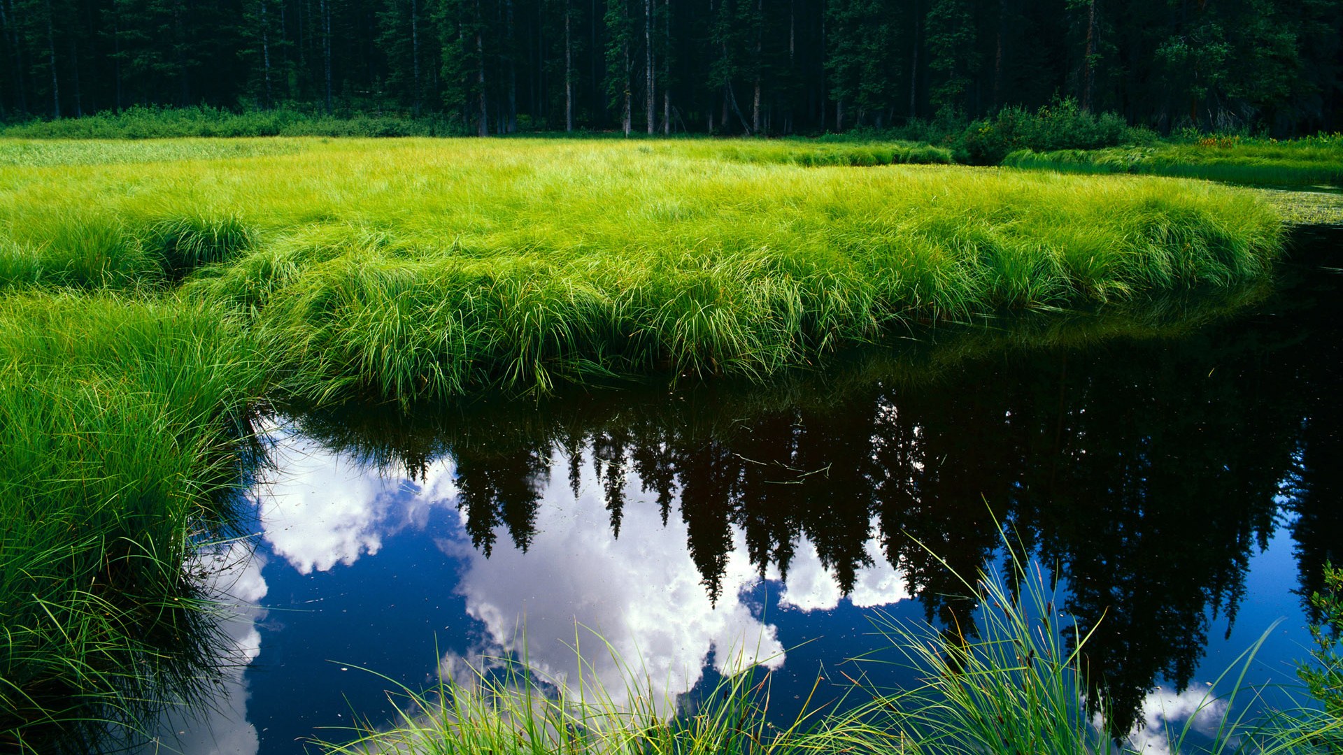 爱游戏APP-浴火重生的羽翼，当逆转豪情遇上绝对掌控