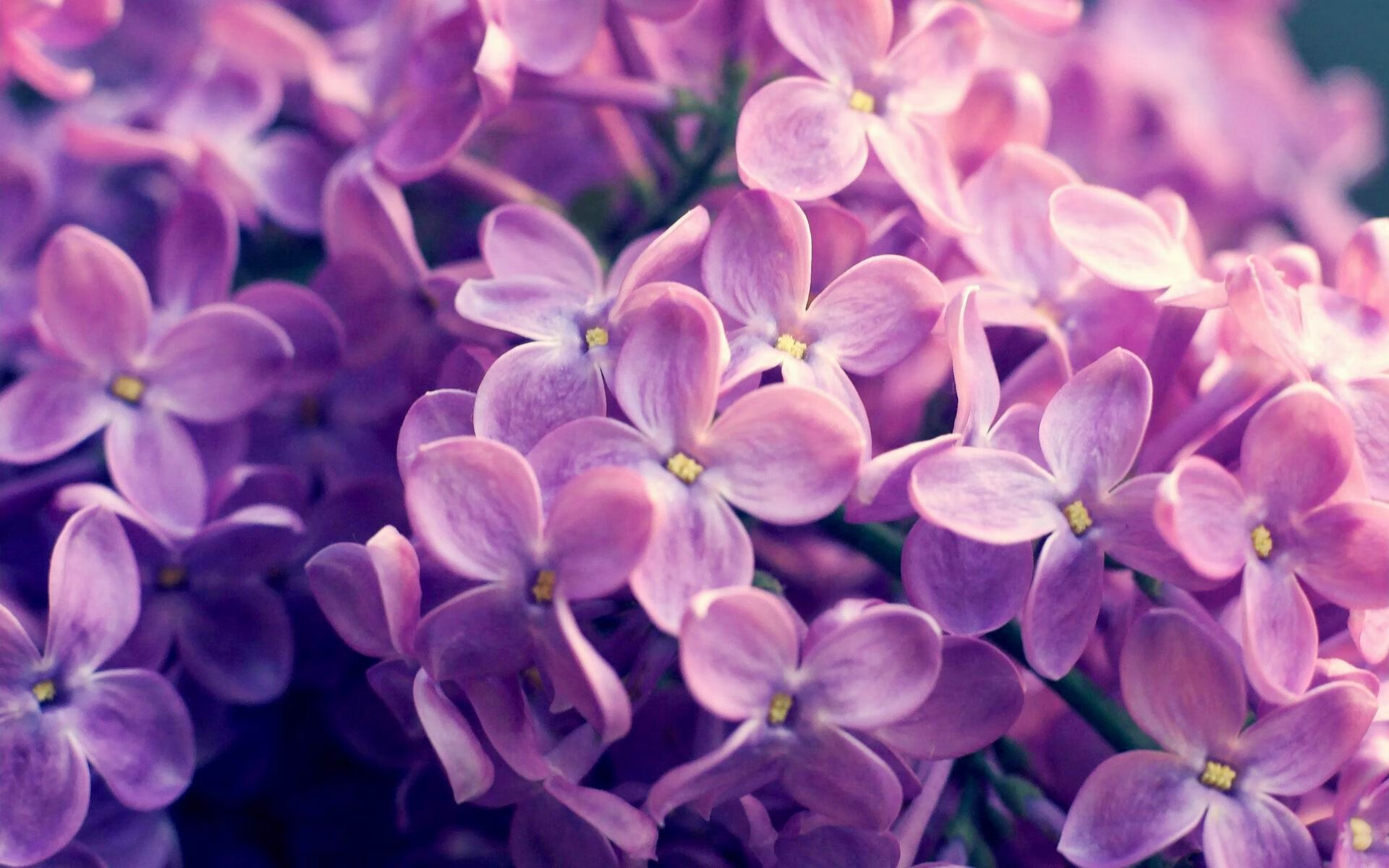 永恒72小时,当广州绝杀凯尔特人,伦纳德于另一个维度的回响