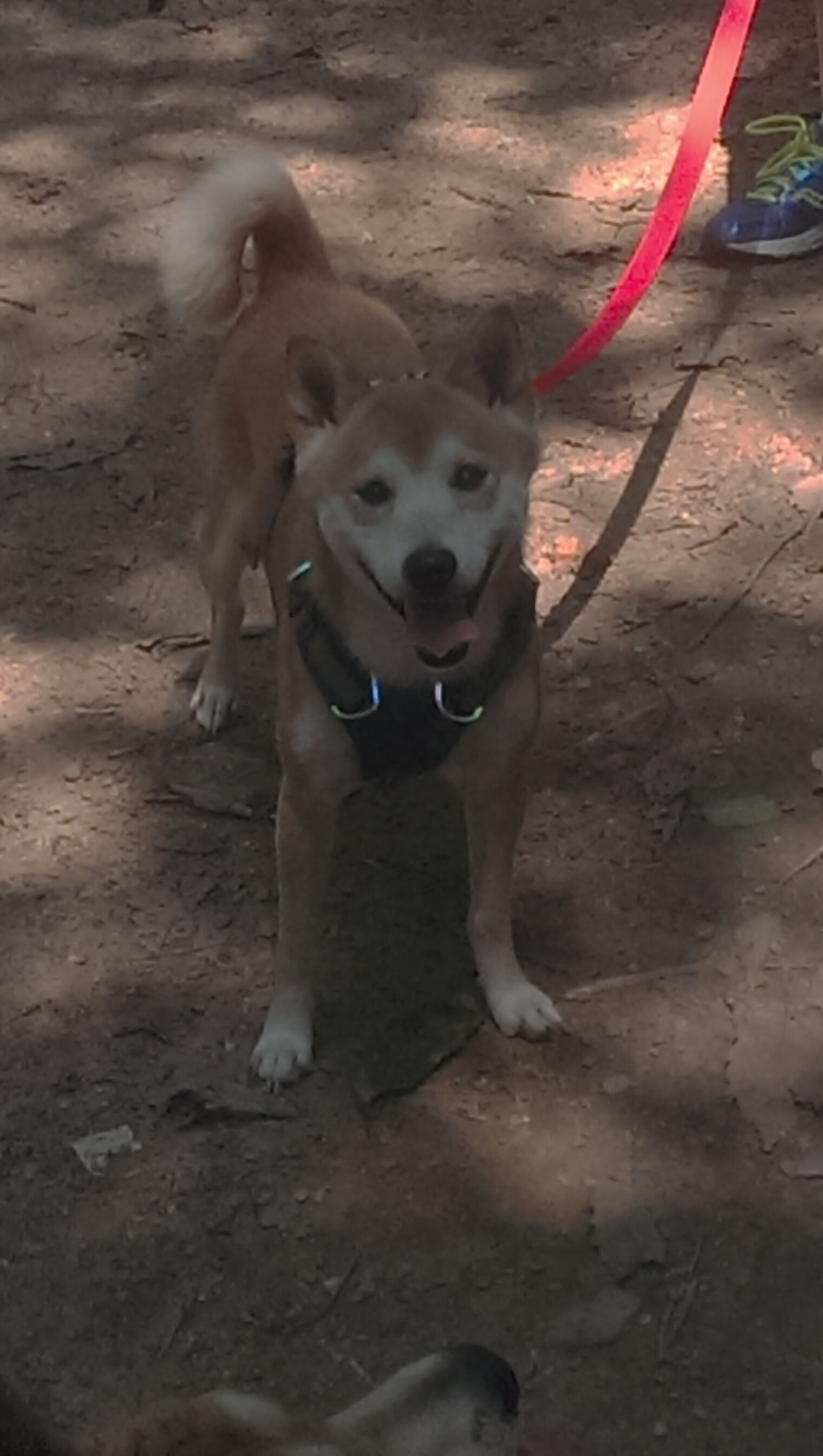 冰岛式极简主义,库尔图瓦如何成为商战中的零封艺术家