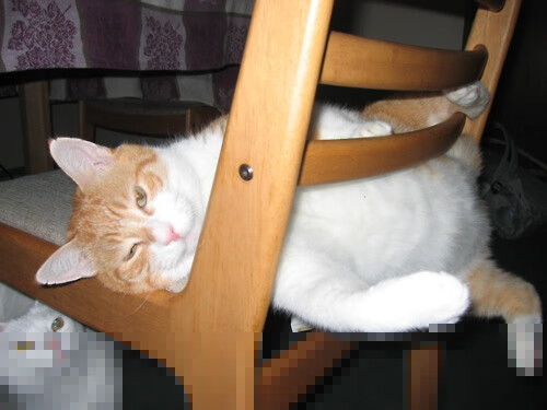 跨越太平洋的篮球风暴，德罗赞单节狂飙20分，湖人第三节发力击退新疆挑战