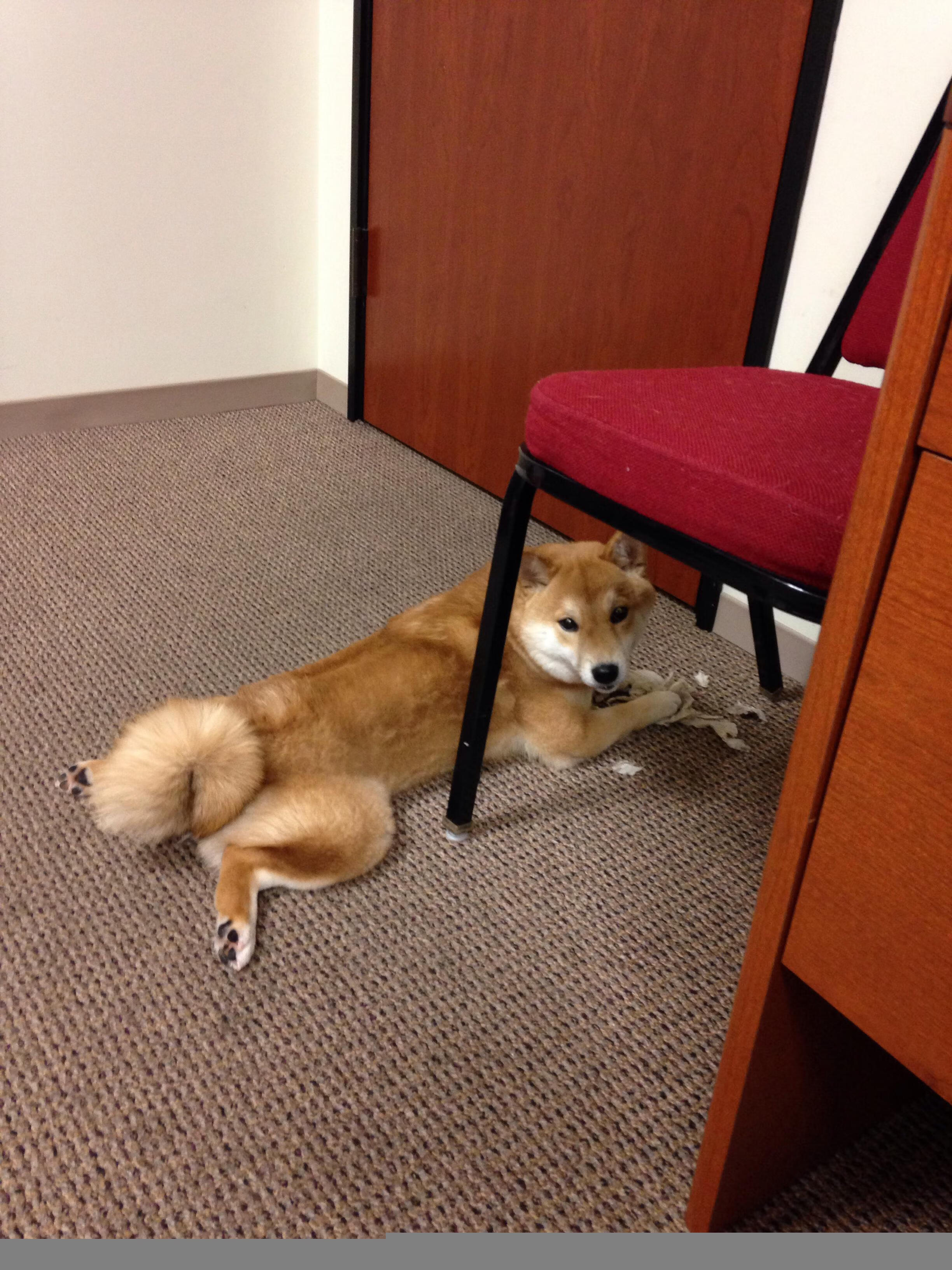 防守艺术家，当本泽马的跑位成为对手的无形囚笼