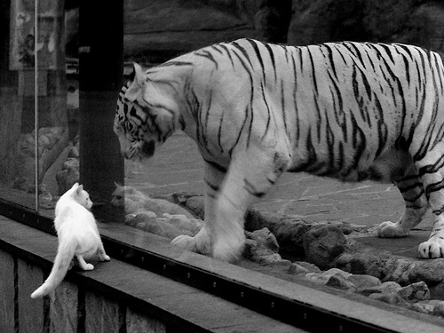 热火对阵步行者，东契奇的关键回合哲学如何点燃赛场？