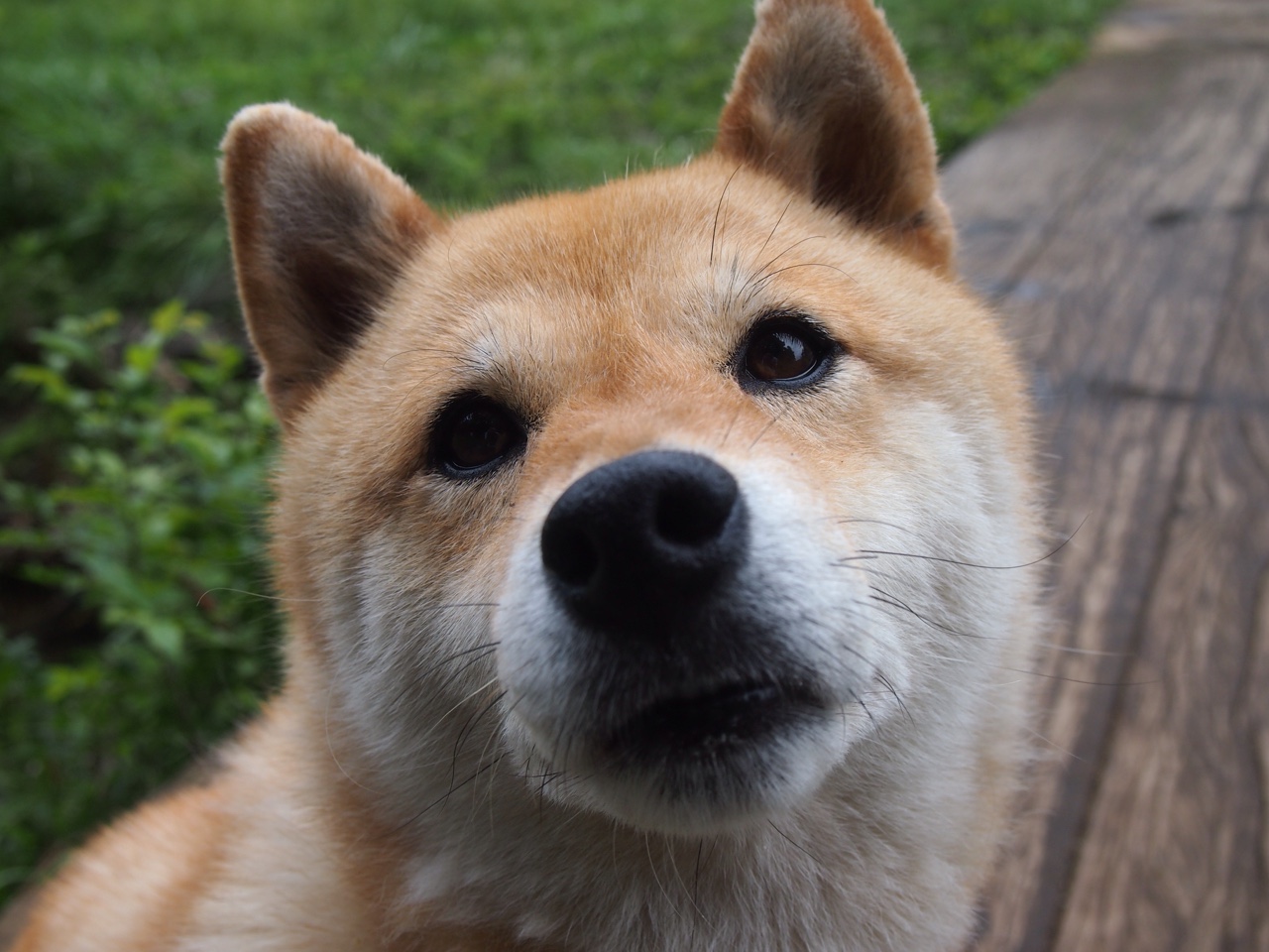 王座旁的黑马,米切尔末节11分+致胜抢断,国王险掀翻76人铁幕