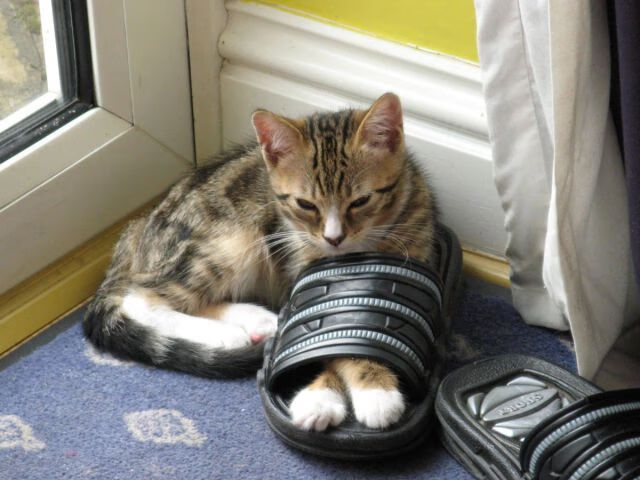 星夜之辉,迪亚斯一锤定音,莱比锡红牛如何淬炼出压倒那不勒斯的利刃?