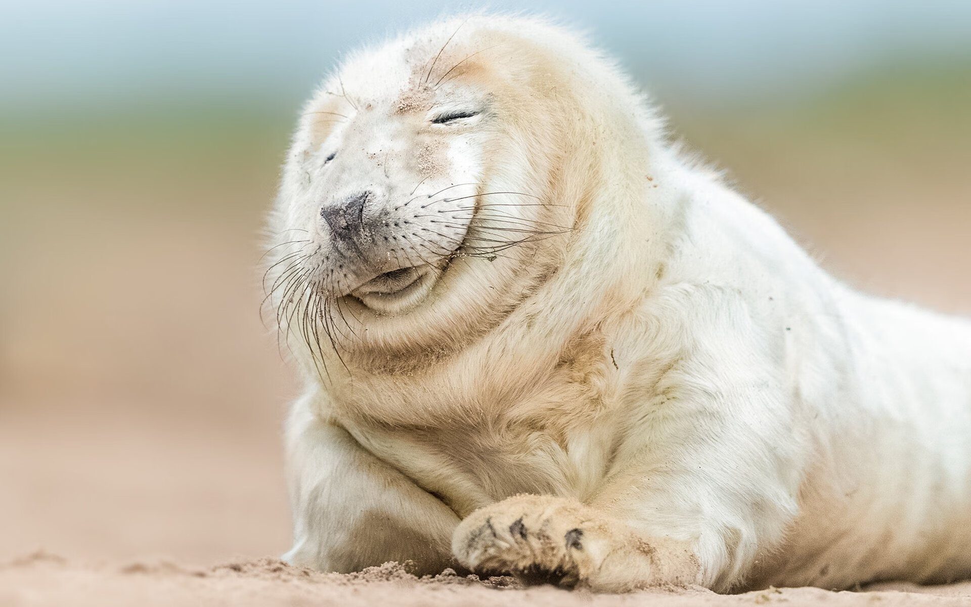 当德甲战火点燃南方大道，一位芬兰后卫如何成为双线战役的隐秘轴心