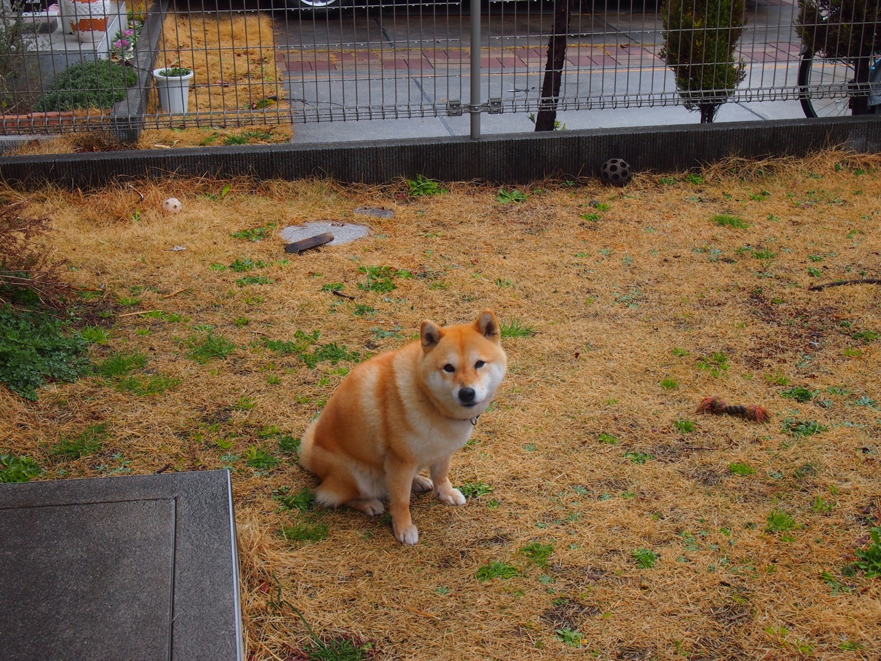 足球之夜的冰与火之歌，米兰绝杀映照维尼修斯的璀璨星光