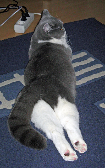 弯道与超车，当辽宁队的铁索阵，遇见F1赛道上的英格拉姆引擎