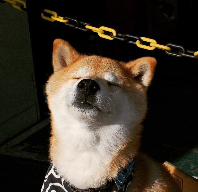 篮球场上的足球大师，约基奇用一场德甲争冠战般的统治演出定义新时代