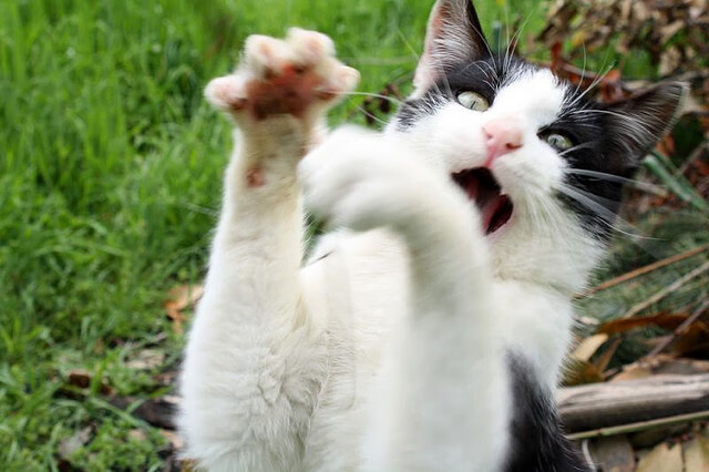 平凡英雄之夜,无名阿克,一脚踢碎宿命与王座