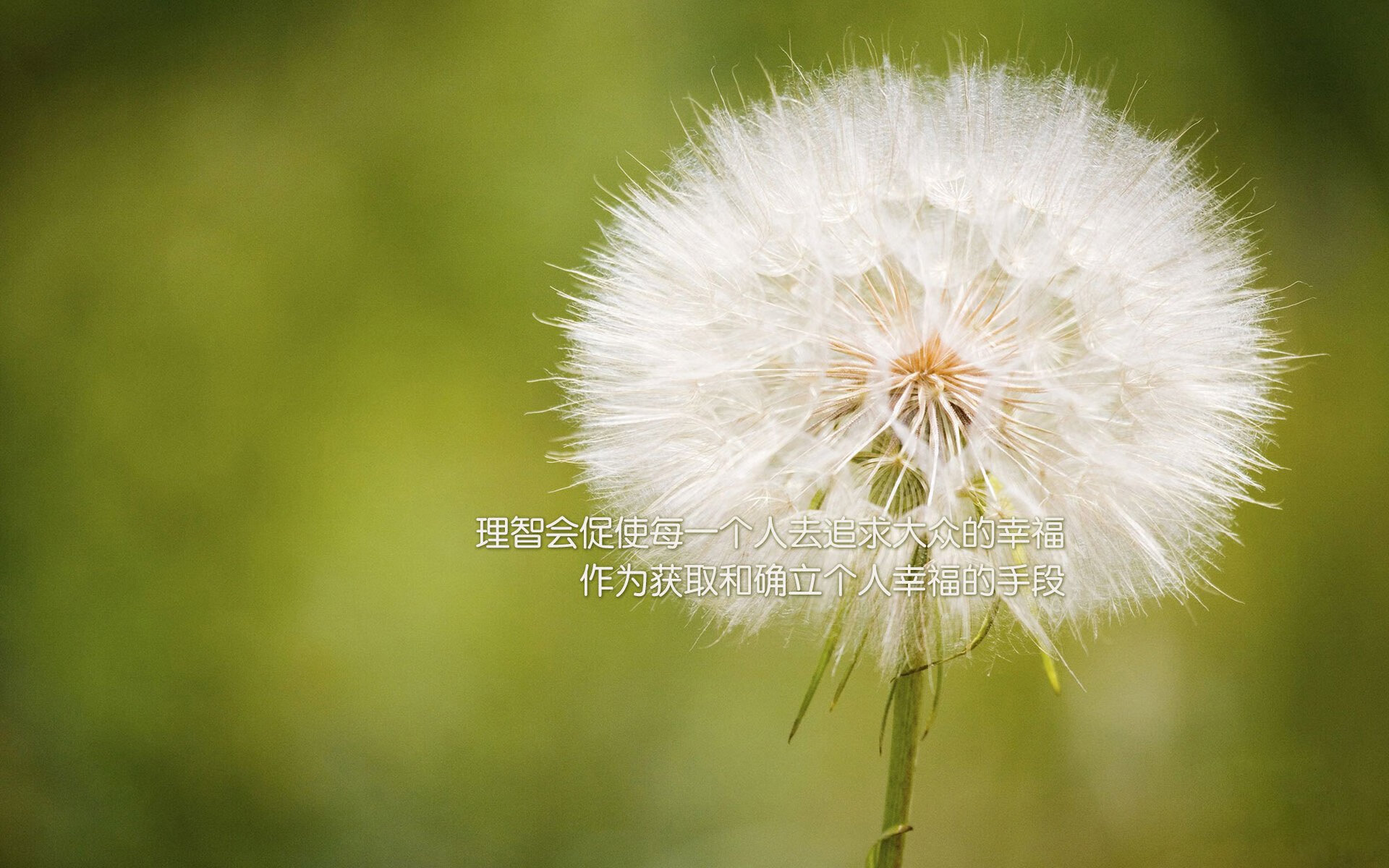 爱游戏在线-铁血之刃，匈牙利如何在2026世界杯C组硬战中力克日本，登贝莱一剑封喉