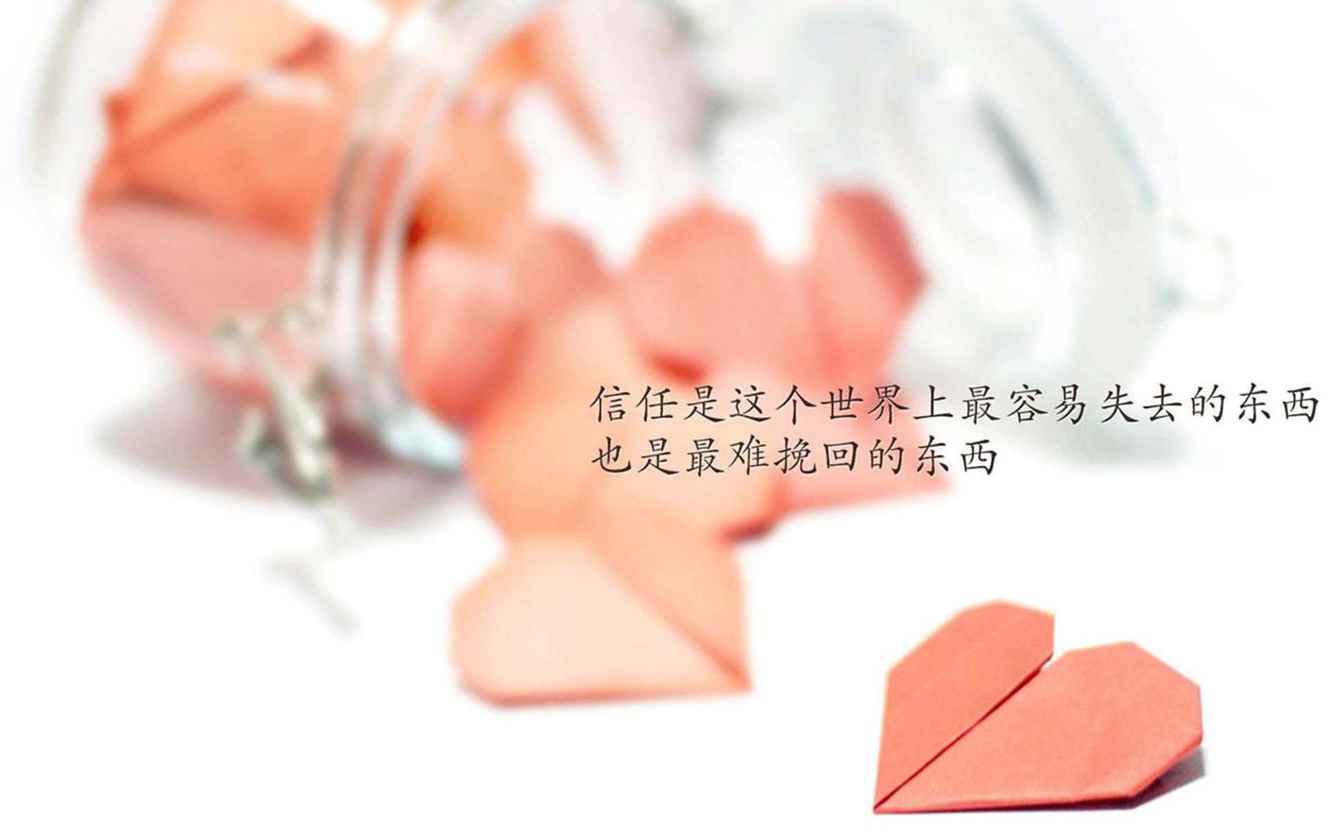 托纳利的节拍器，2026世界杯A组焦点战，印度防守如何压制摩洛哥的狂野基因