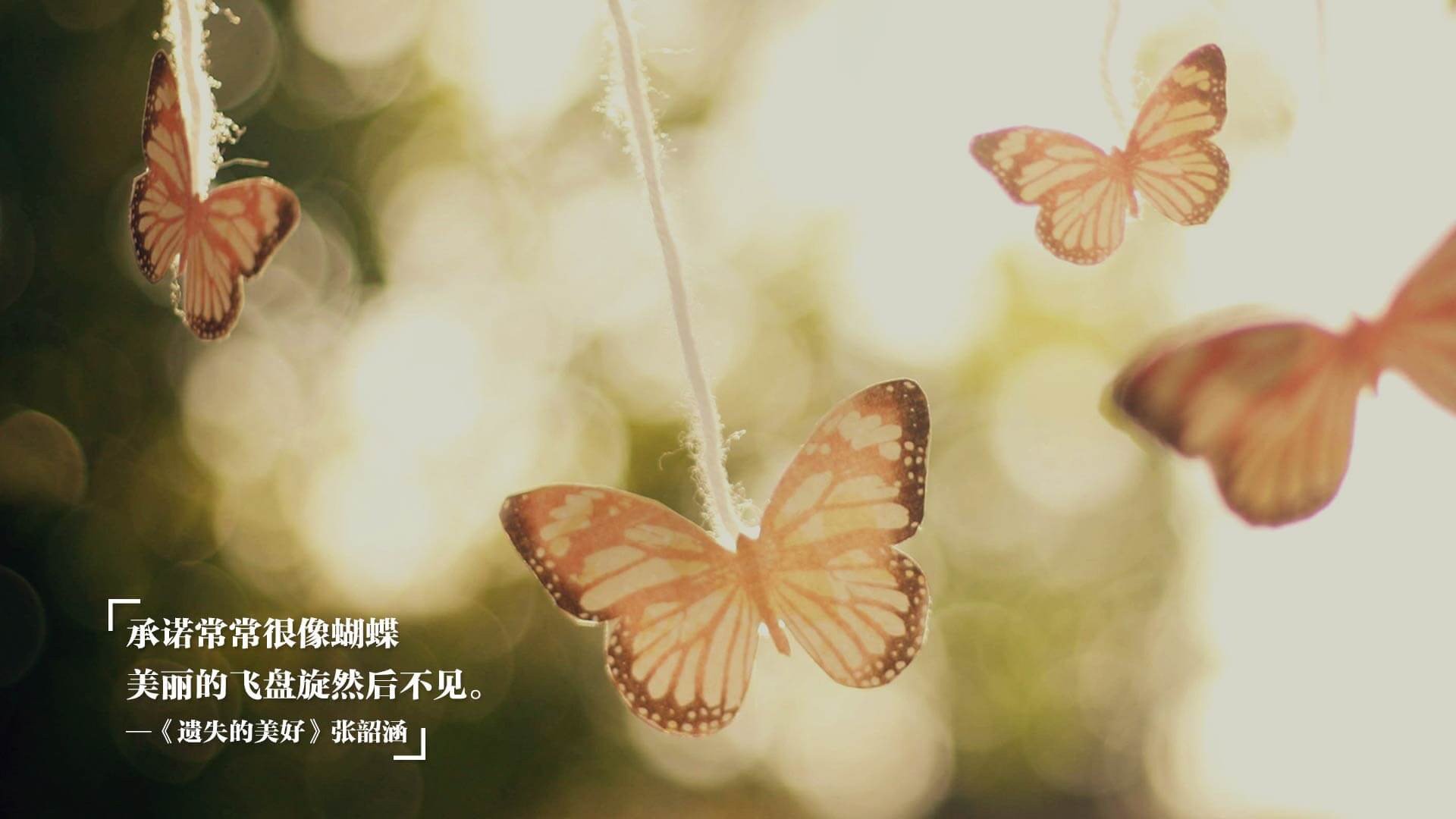 冰火两重天,乌拉圭风暴席卷北欧,哈兰德独木难支成悲情英雄