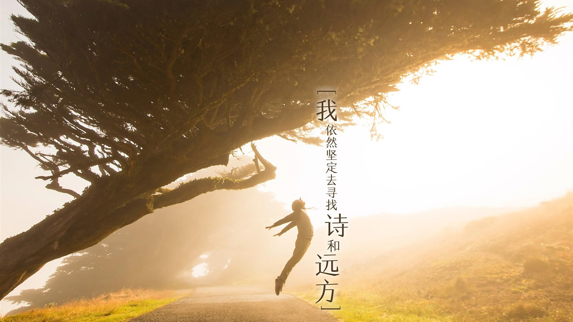 爱游戏体育-三色旋涡，2026世界杯B组，伊朗的铁蹄、喀麦隆的残阳与梅西那记刺穿时空的绝杀