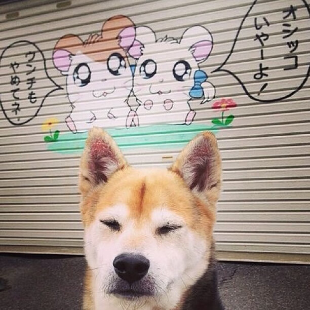 唯一的神谕,当哈兰德在H组改写巴西与伊朗的命运剧本